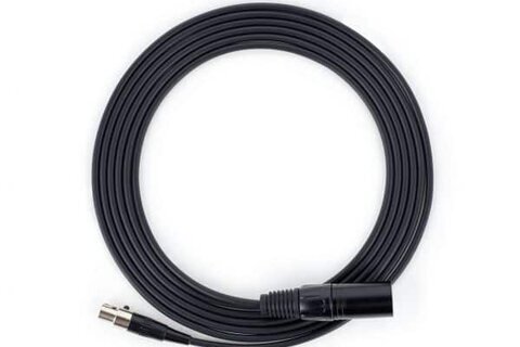 Algo 2504 Output XLR-Mini Female to XLR Male