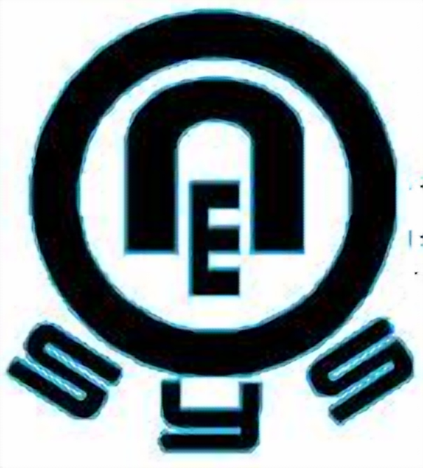 NeoSys Logo